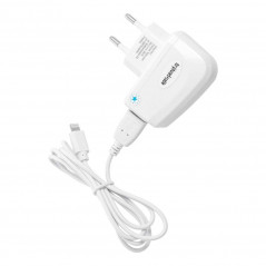 Travel Charger for iPhone 5/6/6s/7/8/X Lite White